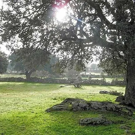 La Trocha De 2* Hoyorredondo
